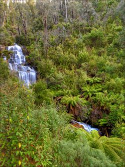 Faitner Falls - VIC SQ V (PBH3 00 34417)